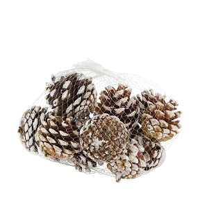 Pomme de pin blanchi 200grs
