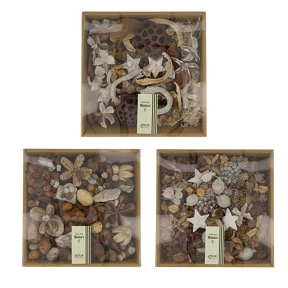1 boite mélange exotic naturel-blanchi