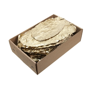 Boite feuille or x100