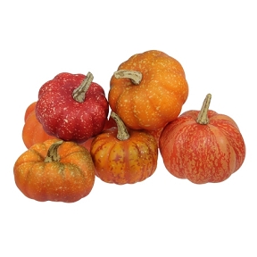 Citrouille orange x12 ass