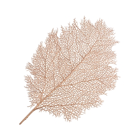 Set de table feuille or 57 x 36cm
