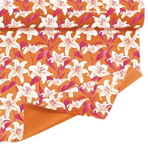 Bobine clayrbrill lysandre orange 0.80 x 40 m