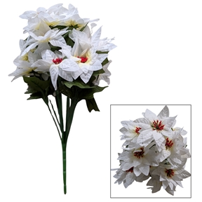 Piquet poinsettia blanc