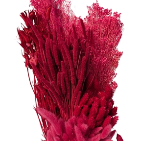 Bouquet fleurs sechees assorties magenta 250grs