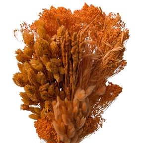 Bouquet fleurs séchées assorties papaye 250grs