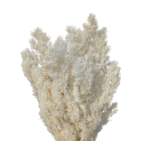 Ming ferm blanc