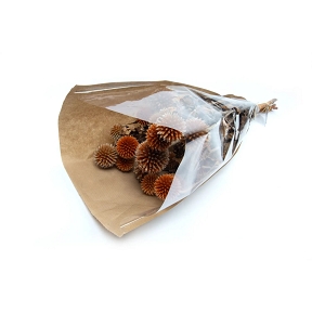 Echinops stabilisée orange 200grs