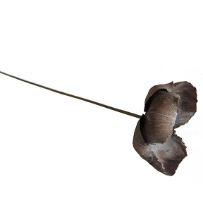 Palm cup sur tige blanchi x10