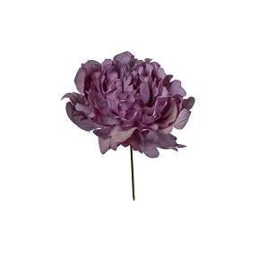 Pivoine violet ht 16cm