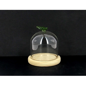Cloche verre socle bois + papillon vert ø10 ht 12cm