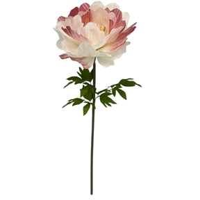 Pivoine rouge ø50 ht 135cm