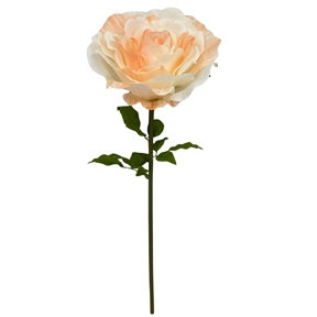Rose orange ø50 ht 130cm