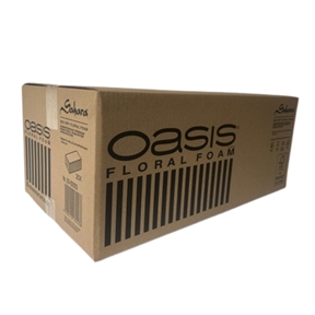 Oasis briques sèches sahara x 20