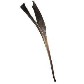 Palmsing naturel ht 150-180cm