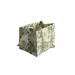 Sac carton feuillage vert 15 x 10 ht 10.5cm (x10)