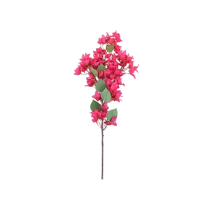 Branche bougainviller fuchsia ht 118cm