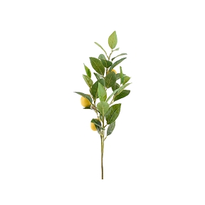 Branche citron x3 ht 81cm