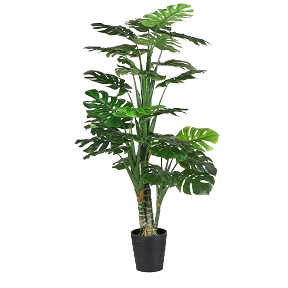 Monstera pot vert ht 160cm