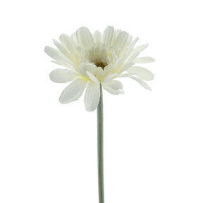 Gerbera minako crème 47cm