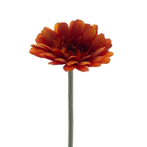 Gerbera minako orange 47cm