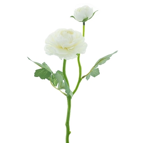 Renoncule 1 fleur + 1 bouton crème 37cm