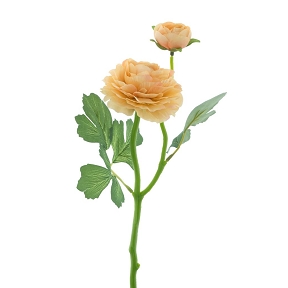 Renoncule 1 fleur + 1 bouton pêche 37cm