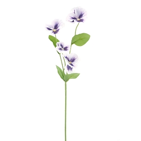 Pensée tricolore lavande 60cm