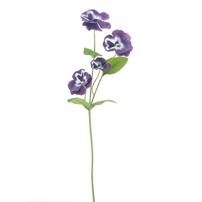 Pensée tricolore violet 60cm