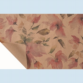 Bobine kraft écru imprimé brush 0.80 x 40m