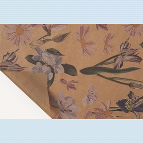 Bobine kraft écru imprimé iris 0.80 x 40m