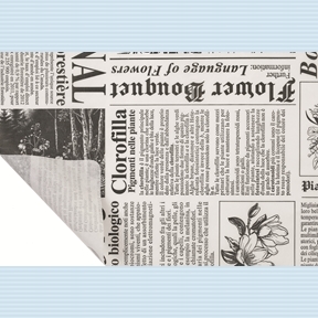 Bobine kraft blanc imprimé newspaper noir 0.80 x 40m