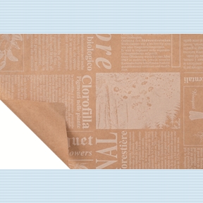 Bobine kraft écru imprimé newspaper blanc 0.80 x 40m