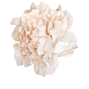 Pivoine beige ht 16cm x 12