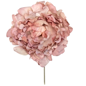 Pivoine vieux rose ht 16cm x 12