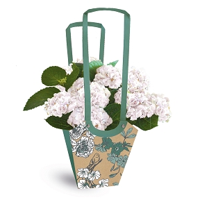 Sac aqua birdy vert foncé 11 x 11 ht 19cm (x10)