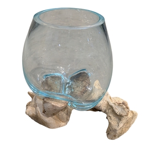 Racine teck + 1 verre ø6 ht 10cm