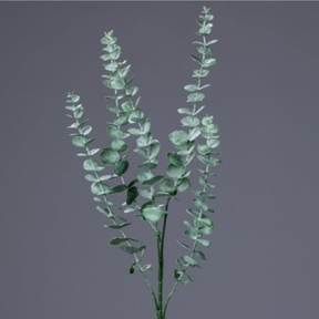 Eucalyptus vert 5 branches 80 cm