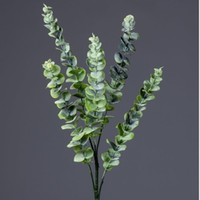 Eucalyptus vert 2 tons 5 branches 80 cm