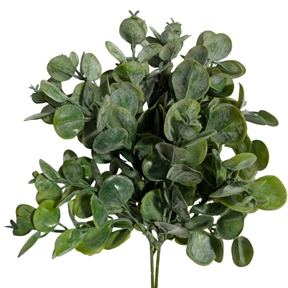 Piquet eucalyptus gris vert 38 cm