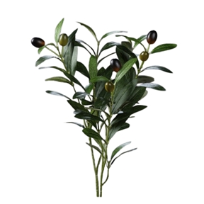 Branche olivier 45 cm