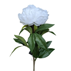 Pivoine blanche 68 cm