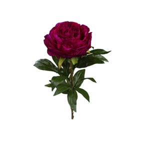Pivoine fuchsia 68 cm