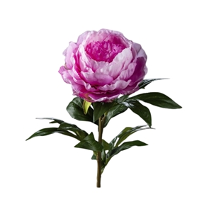 Pivoine rose 68 cm