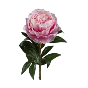 Pivoine rose pâle 68 cm