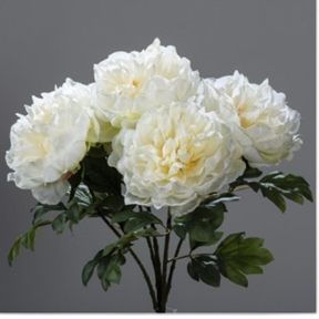 Bouquet pivoine crème 55 cm