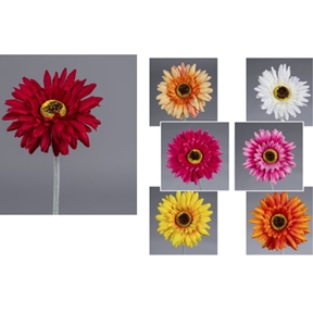 1 x Gerbera 50 cm