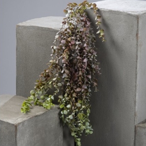 Chute eucalyptus panache 90 cm