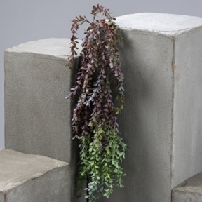 Chute buxus panaché 85 cm