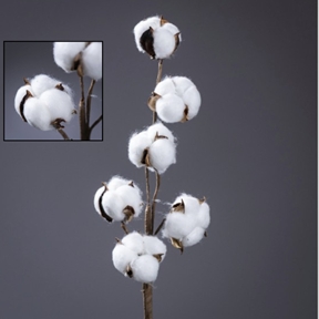 Branche coton 6 fleurs 55 cm