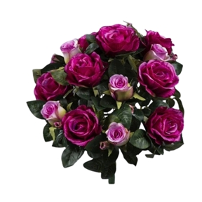 Piquet de rose fuchsia 51 cm
